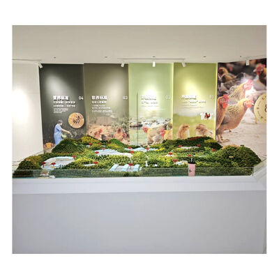 comprar Modelo em Miniatura da Base Nacional de Conservação de Germoplasma de Frango Qingyuan, Banco de Planejamento de Recursos de Germoplasma de Gado e Aves Ecológicas online manufacture